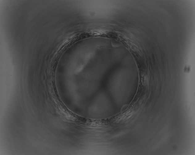X0000091641393200708231148