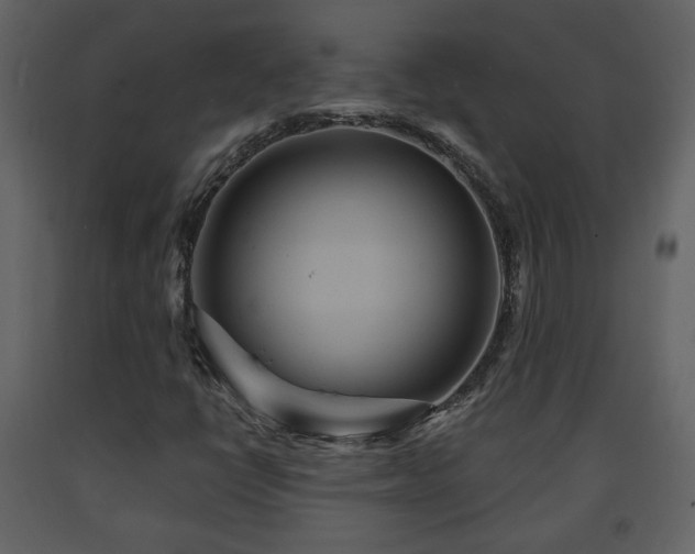 X0000091641398200708231148