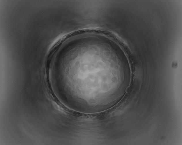 X0000091641400200708231148
