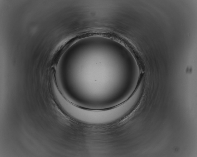 X0000091641402200708231148