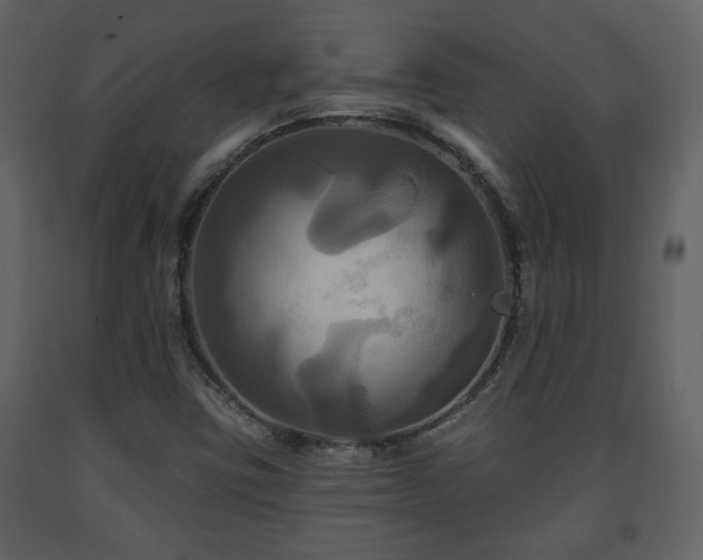 X0000091641403200708231148