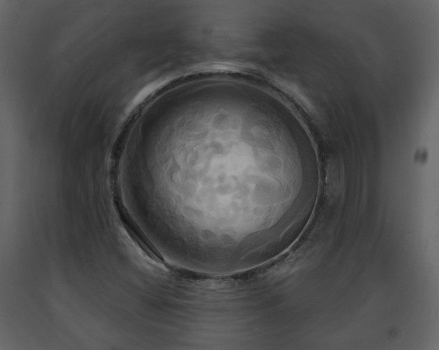 X0000091641404200708231148