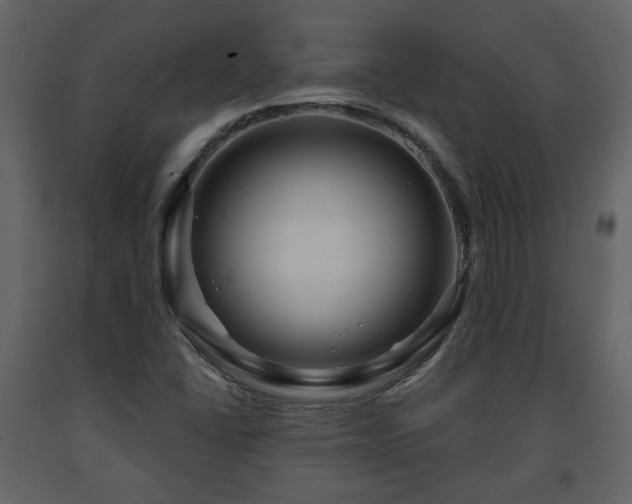 X0000091641406200708231148