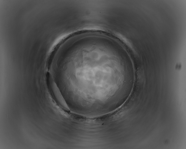 X0000091641408200708231148
