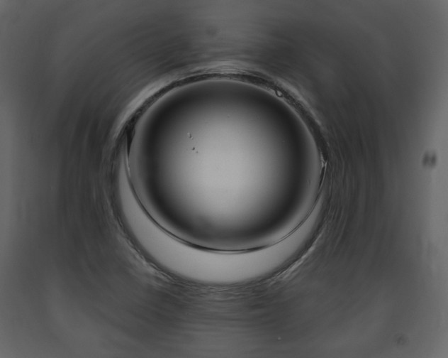 X0000091641410200708231148