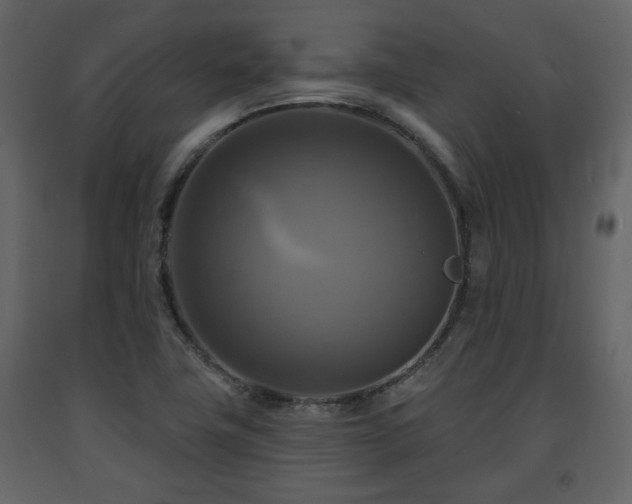 X0000091641411200708231148
