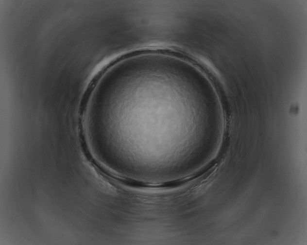 X0000091641412200708231148