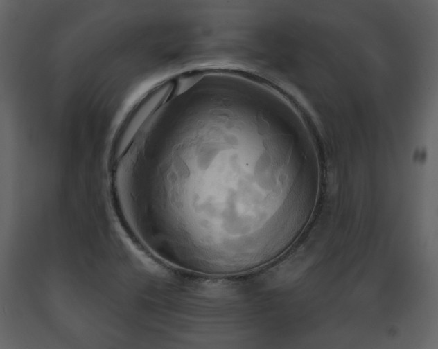 X0000091641416200708231148