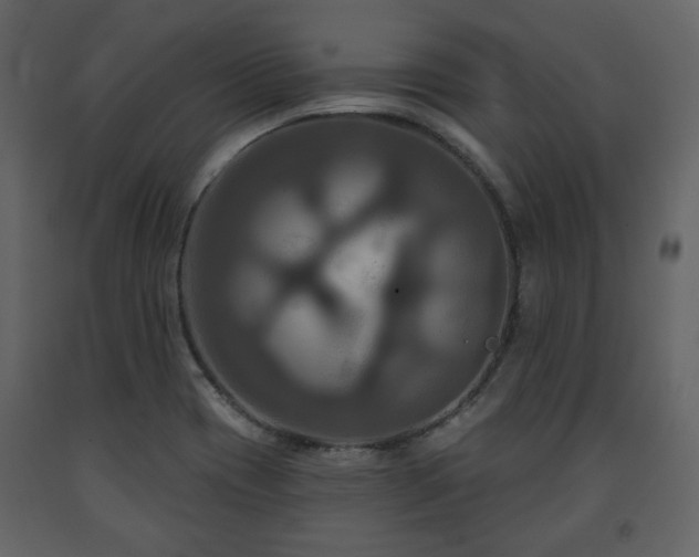 X0000091641417200708231148