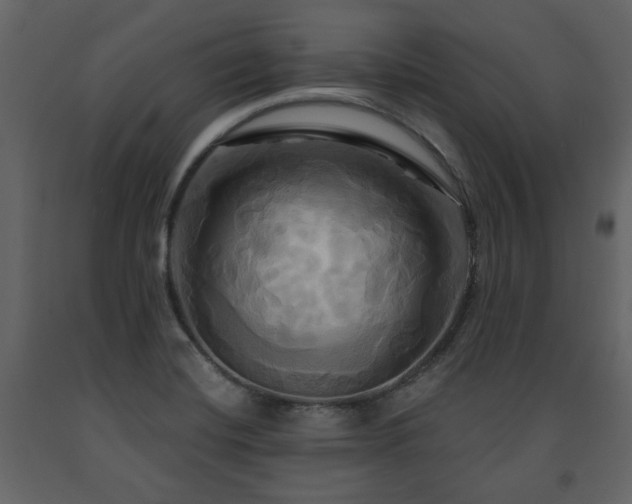 X0000091641420200708231148