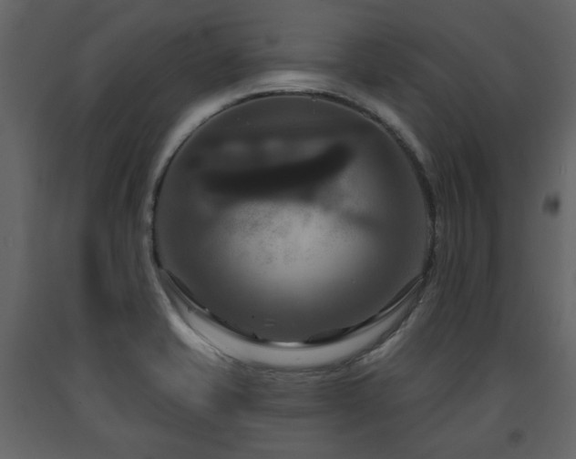 X0000091641421200708231148