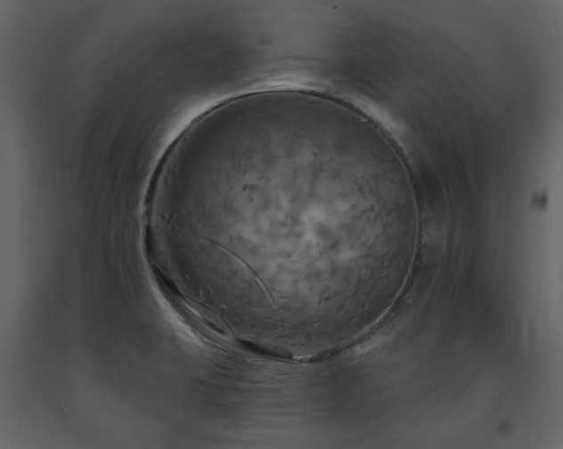 X0000091641423200708231148