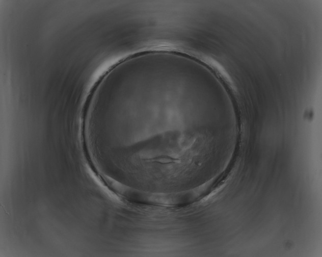 X0000091641424200708231148