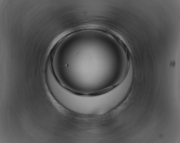 X0000091641426200708231148