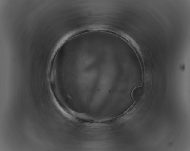 X0000091641429200708231149