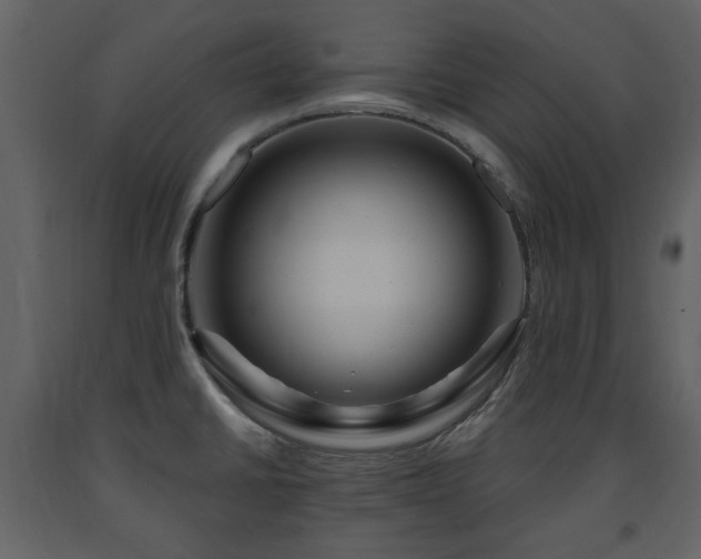 X0000091641430200708231149