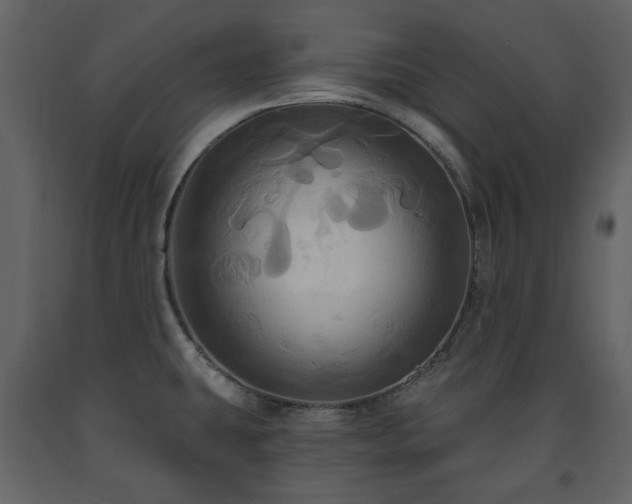 X0000091641431200708231149