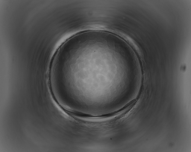 X0000091641432200708231149