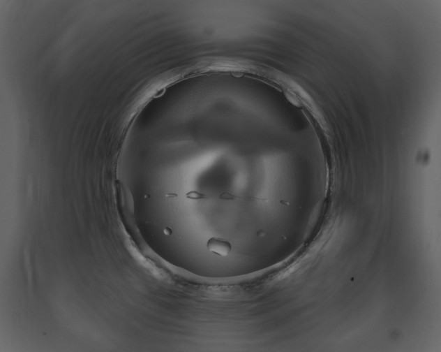 X0000091641433200708231149