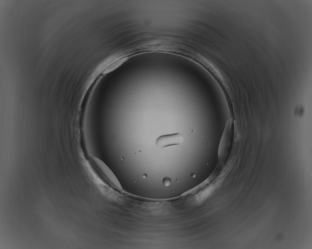 X0000091641434200708231149