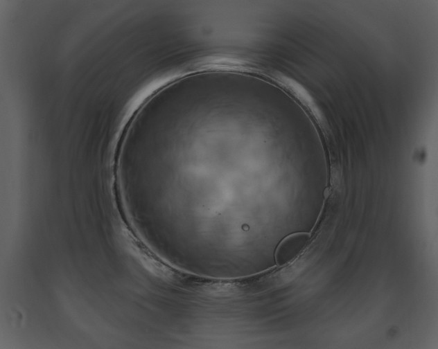X0000091641435200708231149