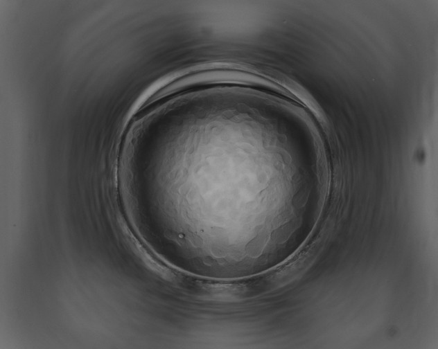 X0000091641436200708231149