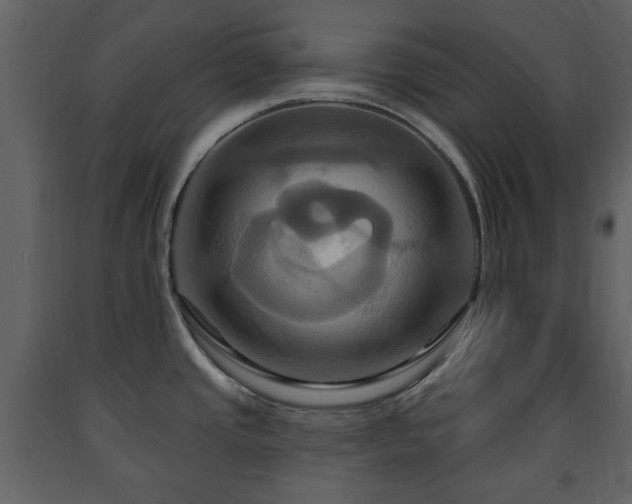 X0000091641437200708231149