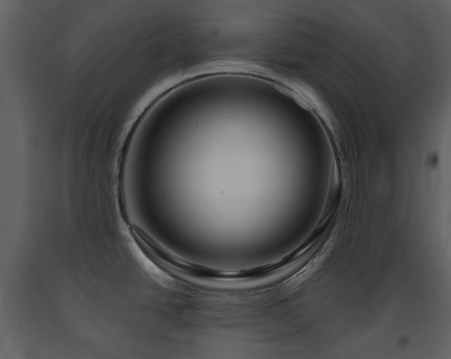 X0000091641438200708231149