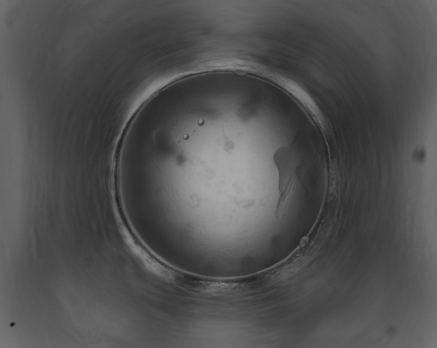 X0000091641439200708231149
