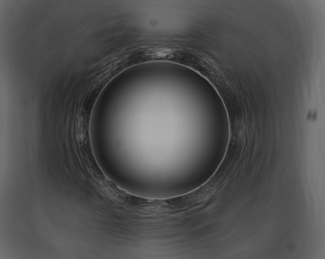 X0000091641442200708231148