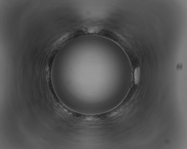 X0000091641443200708231148