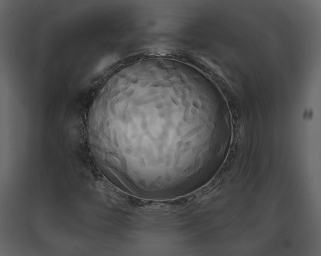 X0000091641446200708231148