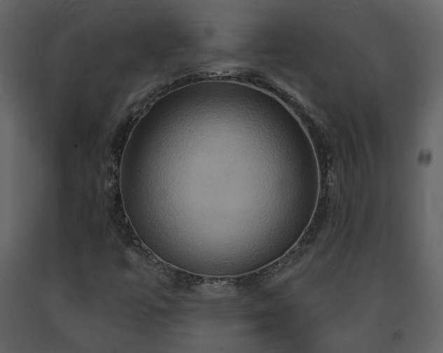 X0000091641447200708231148