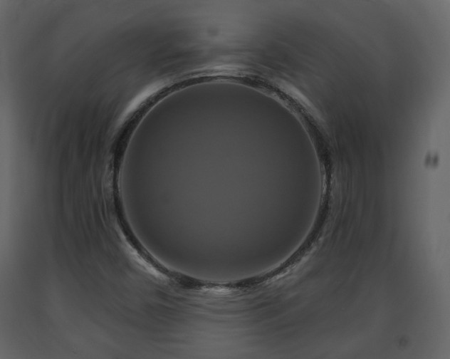 X0000091641450200708231148