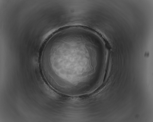 X0000091641452200708231148