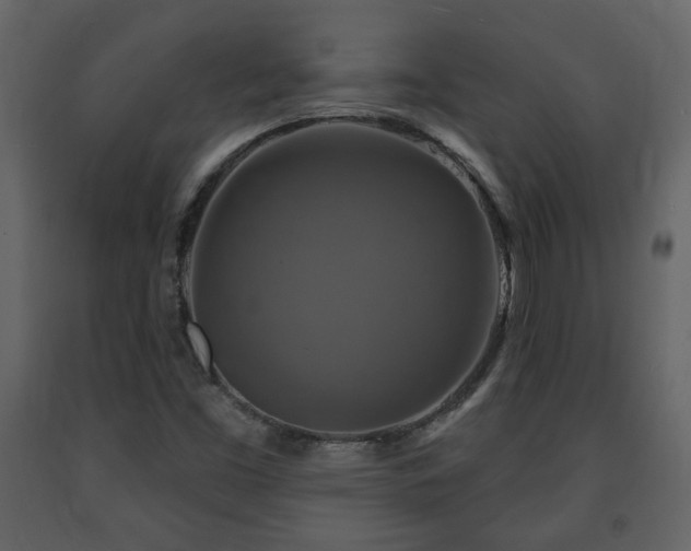 X0000091641453200708231148