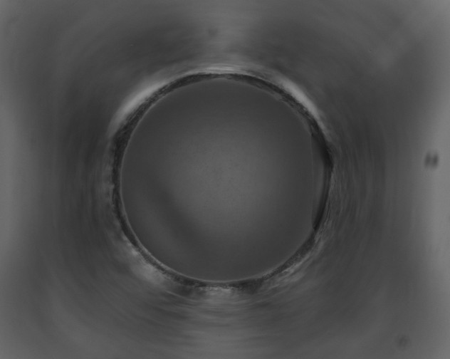 X0000091641456200708231148