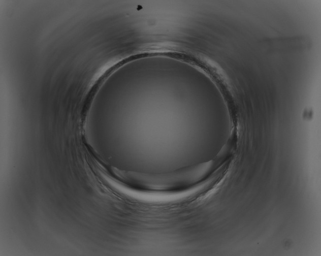 X0000091641457200708231148