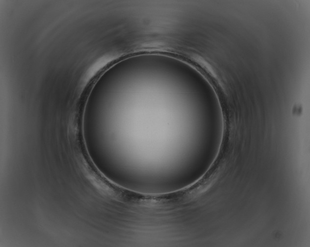X0000091641458200708231148