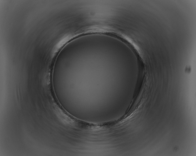 X0000091641459200708231148