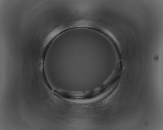 X0000091641461200708231148