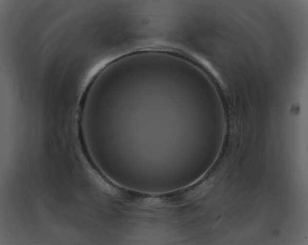 X0000091641463200708231148