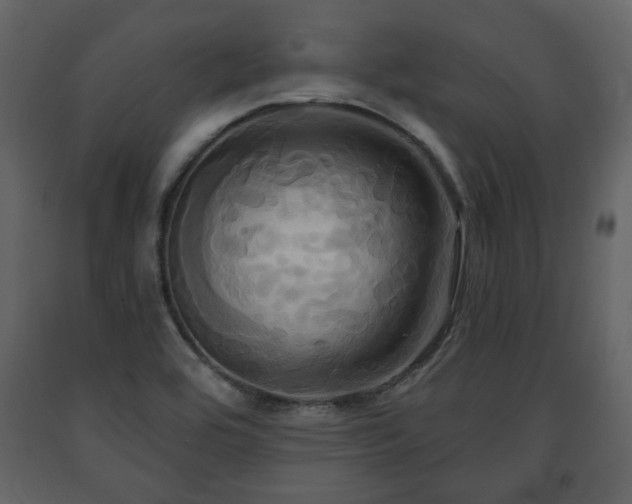 X0000091641464200708231148