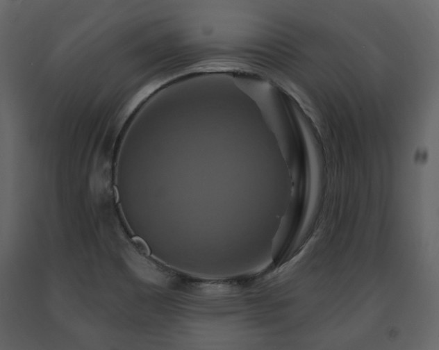 X0000091641465200708231147