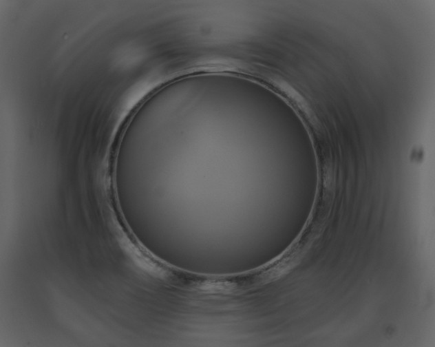 X0000091641466200708231147