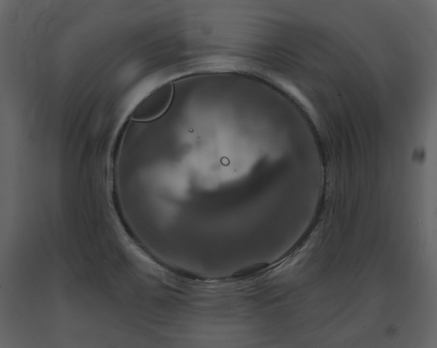 X0000091641467200708231147