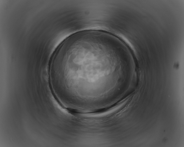 X0000091641468200708231147
