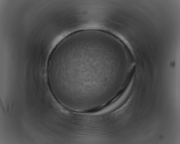 X0000091641469200708231147