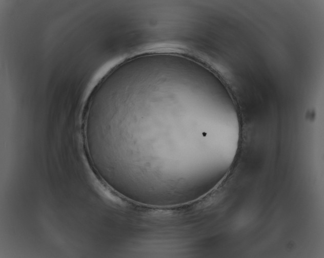 X0000091641470200708231147