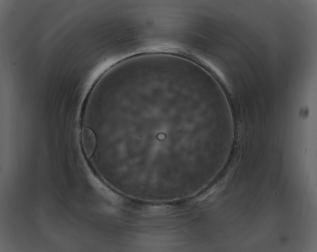X0000091641471200708231147